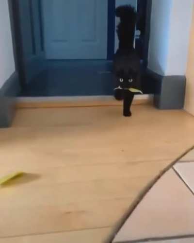 Bringing her humans her favorite gift to give them ... Regularly.