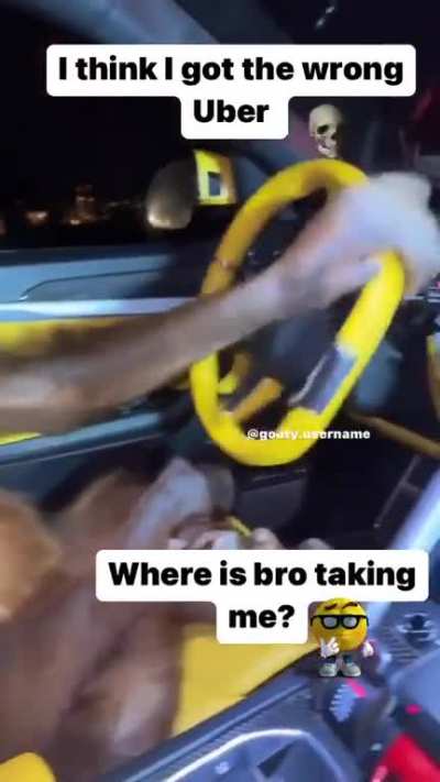 When your driver is monkeydonian