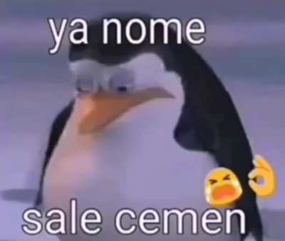 \_(0o0)_/