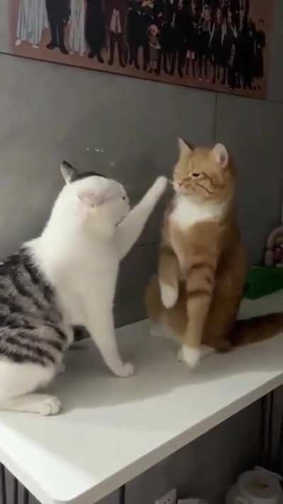 epic battle 