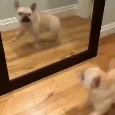 Me, every morning again