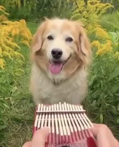 Wholesome boy