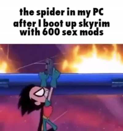 Spider