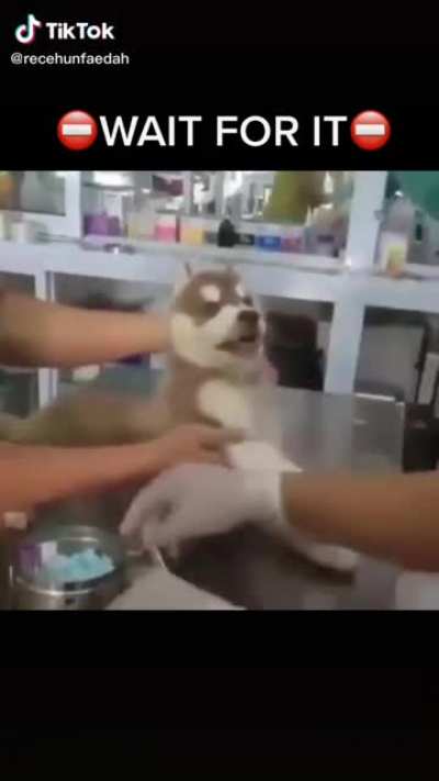 Wait for it