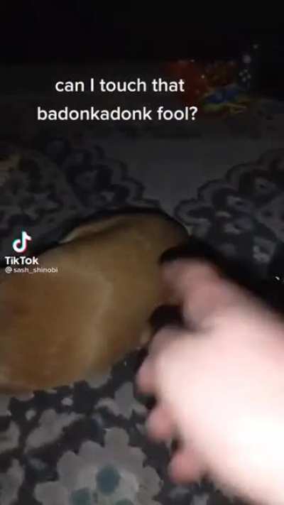 Can I touch that badonkadonk fool
