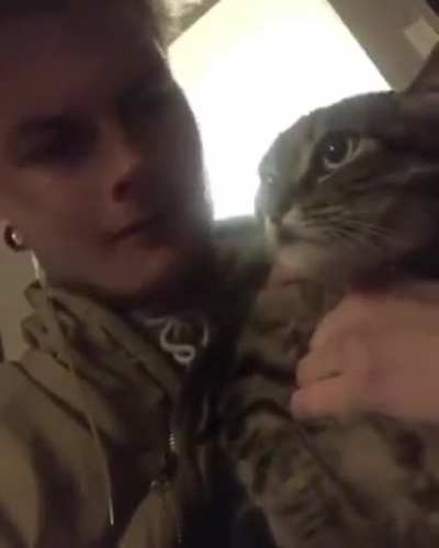 Literally my cat