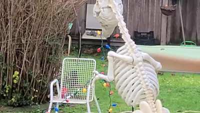 Gotta love how my neighbour incorporated their halloween decorations into christmas decorations.