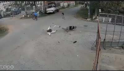 Riding a moped full throttle through an uncontrolled intersection.