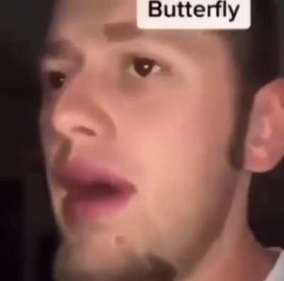 Hi, I'm plane