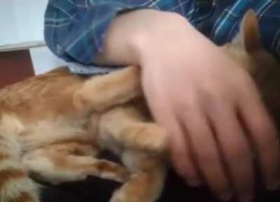 No No, Your Hand Goes Here