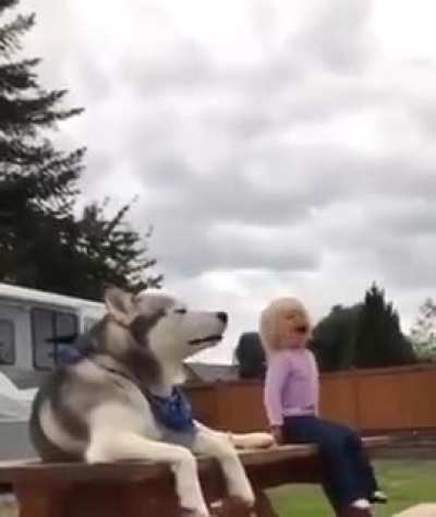Yelling contest
