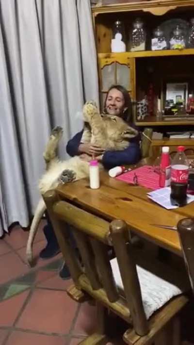 Проголодался