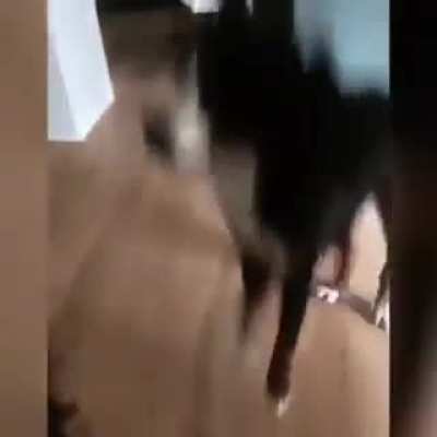 Кто не скачет, тот не зверь