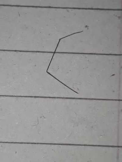 Can anyone tell me what this is?. I was just studying late night and something came over my notebook. Seemed like a Spider's leg at first, but it kept moving like it had life in it. Then thought, it might be a hair like worm.