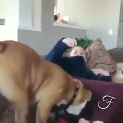 Sniffed wrong place