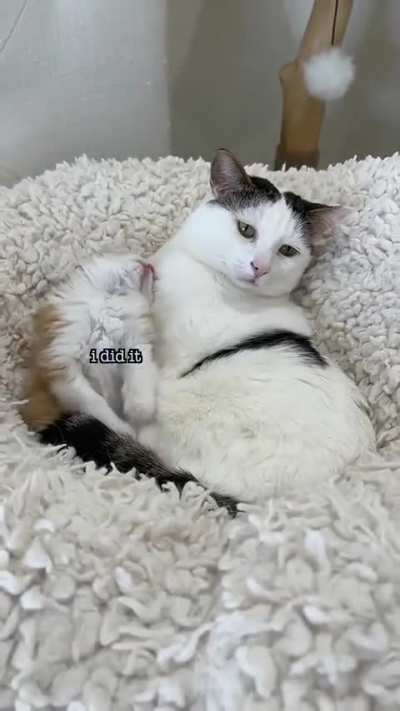 Cuteee