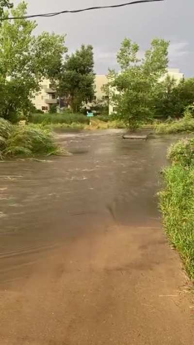 Goose creek flood