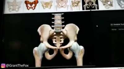 He Had a boner