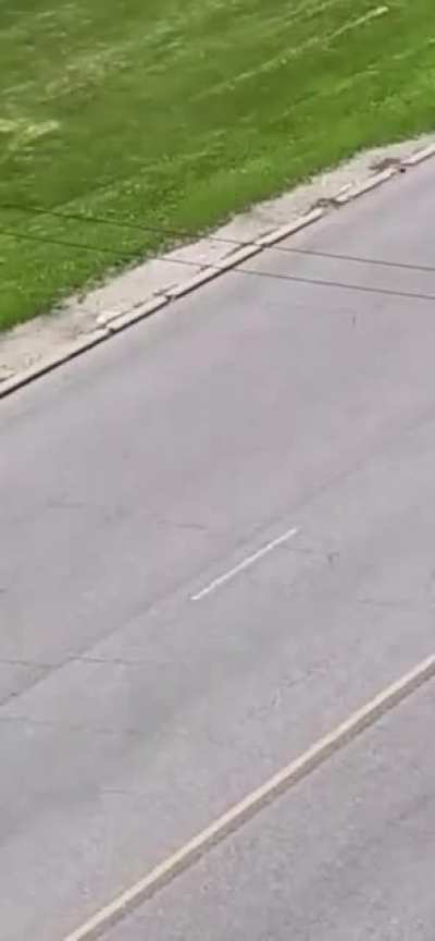 Having a bad day? Don't throw rocks at cars