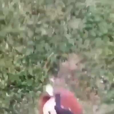 fuck you dora