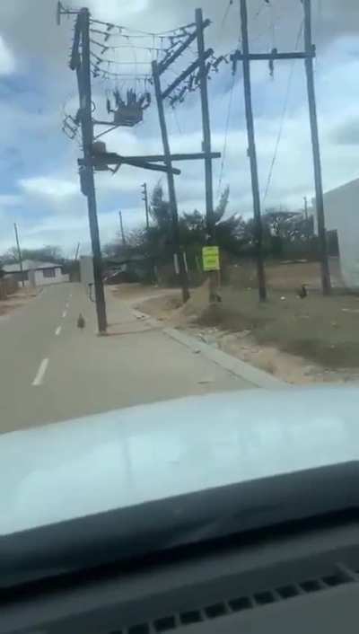 Power line in Bushbuckridge, Mpumalanga 📍