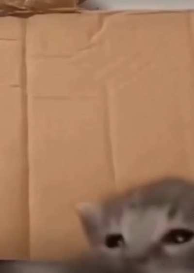 AAAAA