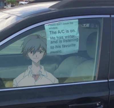 Please don't break the window