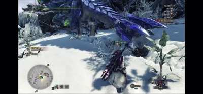Brachydios with diahorrea