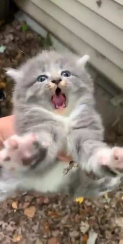 No talk, me angy