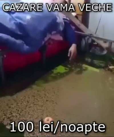 titlu