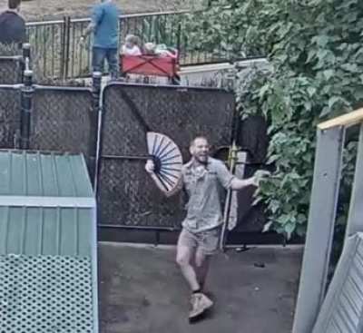 Livestream at Melbourne Zoo.