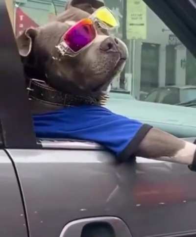 Now that’s a cool boy