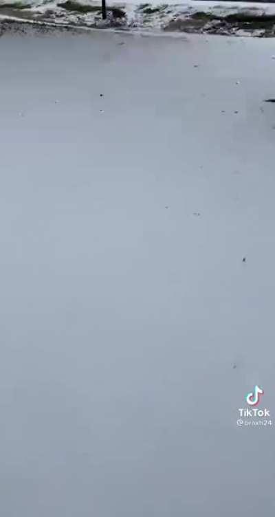 Looks more like 8 to me