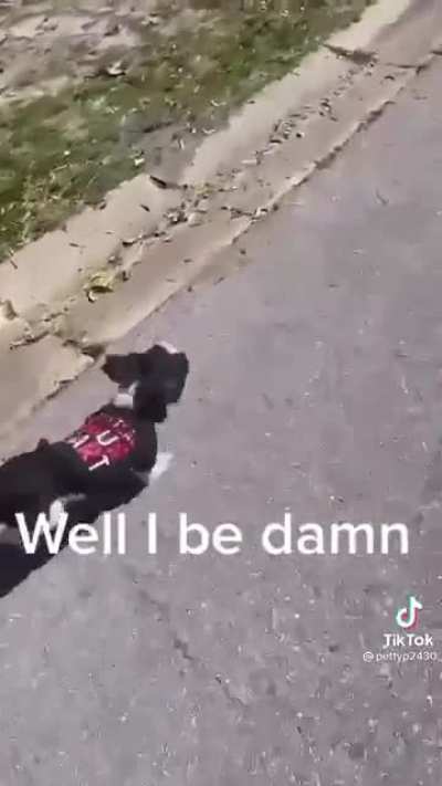 finding a backstabber creeping outside