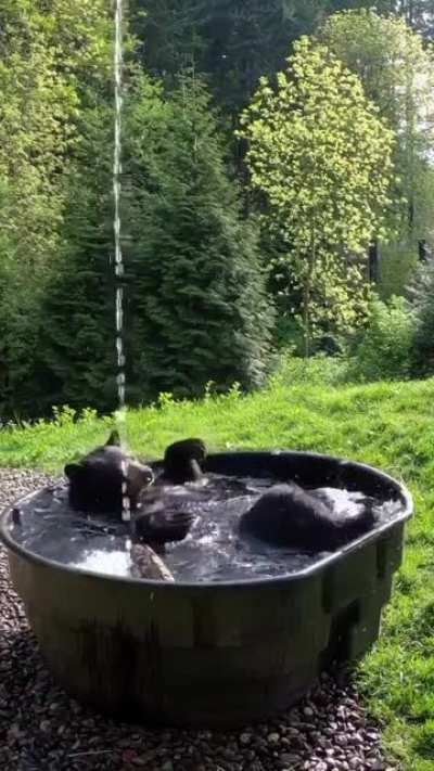 Even the bear has a jacuzzi in the forest 🙂