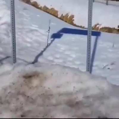 In the snow?