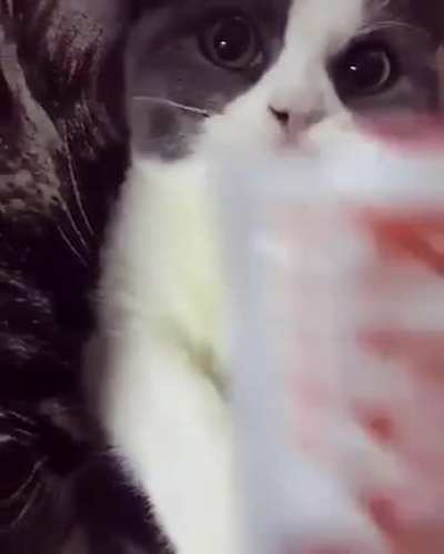 MORE SNACKOS