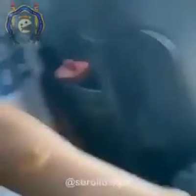 Nem doeu