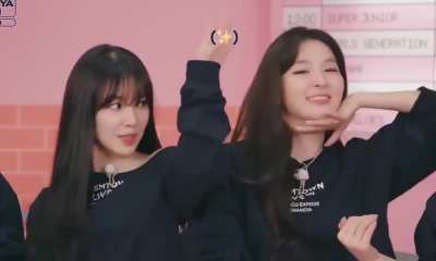 Seulgi & Irene