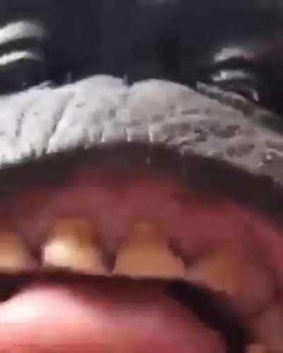 i fucking hate my teacher she took my fucking paper airplane bro i'm so mad dude fuck ms. Lauri