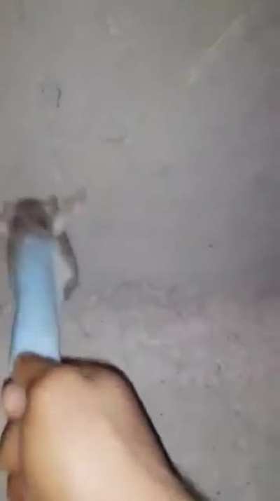 No aquino k fue