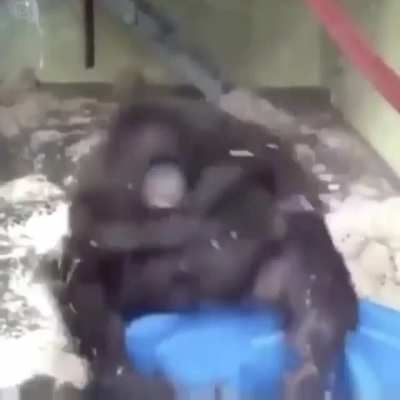 Sniper Monkey