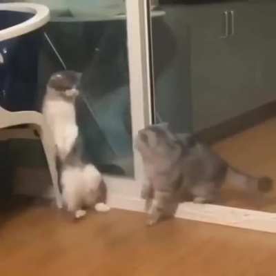 Two for flinching