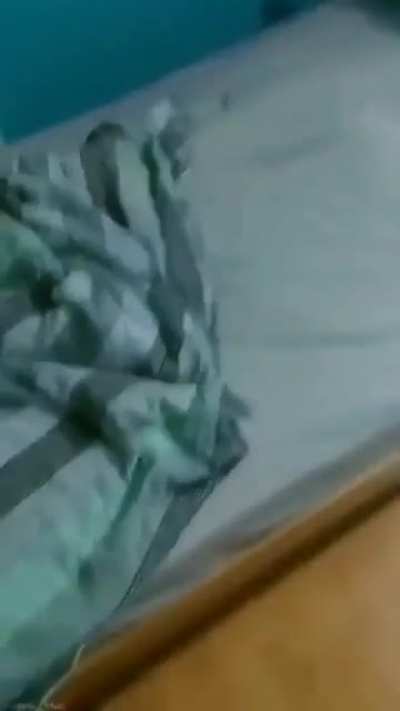 Luangameplay666 - Video #6111