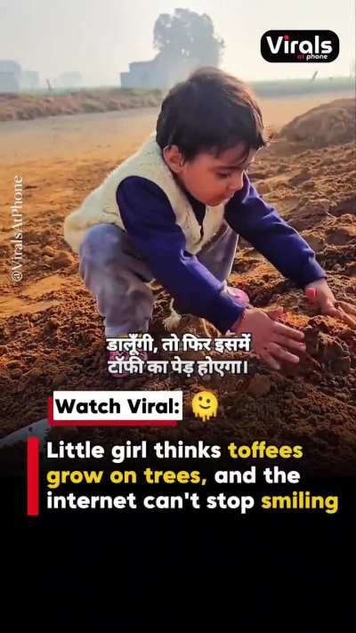Pure childhood innocence: Cute little girl believes toffees grow on trees 🙂