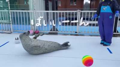 Agu humiliated by rainbow bouncy ball