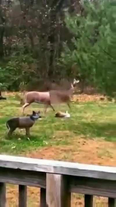 Maybe maybe maybe