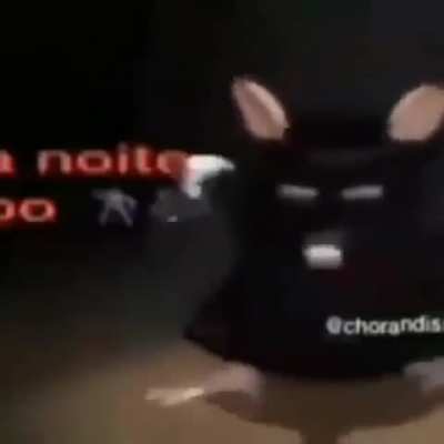 boa noite 