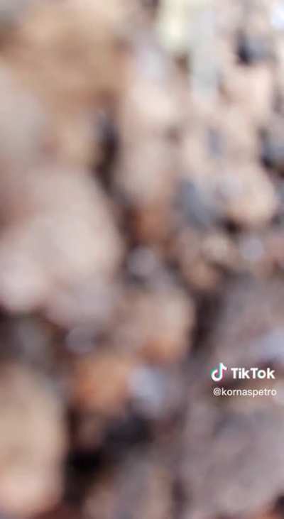 The moment of arrival at the positions of the Ukrainian military was caught on video. As the author of the video writes on his TikTok page, everyone survived.