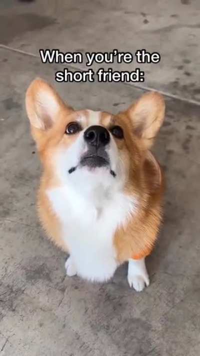 Shorty